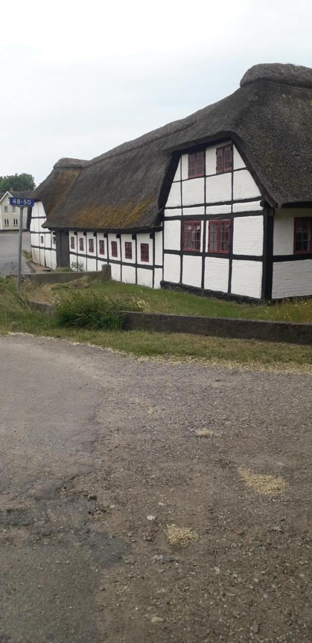Strandvejen 52, Reerso Экстерьер фото